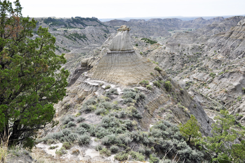 Montana's Makoshika State Park